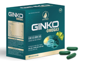 GINKO: Đừng Để Sức Khỏe Bị Ảnh Hưởng! 7 Dấu Hiệu Thiếu Máu Não Bạn Nên Chú Ý