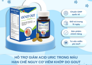 Hỗ Trợ Điều Trị Bệnh Gút, Giảm Đau Khớp, Sưng Khớp, Giảm Acid Uric Trong Máu Gout Out Gia Phát Pharma