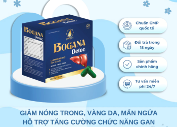 Detox Thải Độc Gan, Mát Gan, Hạ Men Gan, Tăng Cường Chức Năng Gan Bogana Detox – Hộp 100 Viên