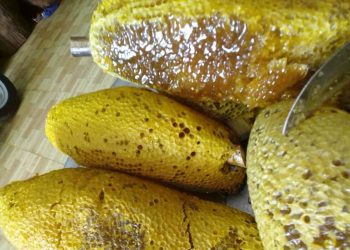 Mật ong ruồi​ có tốt cho sức khỏe không? 8 lưu ý khi sử dụng