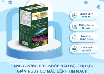 Dầu Cá Omega Macca 3 6 7 9, Omega 3 Tốt Cho Trí Não, Tăng Cường Thị Lực, Bảo Vệ Tim Mạch, Giảm Cholesterol – Hộp 60 Viên